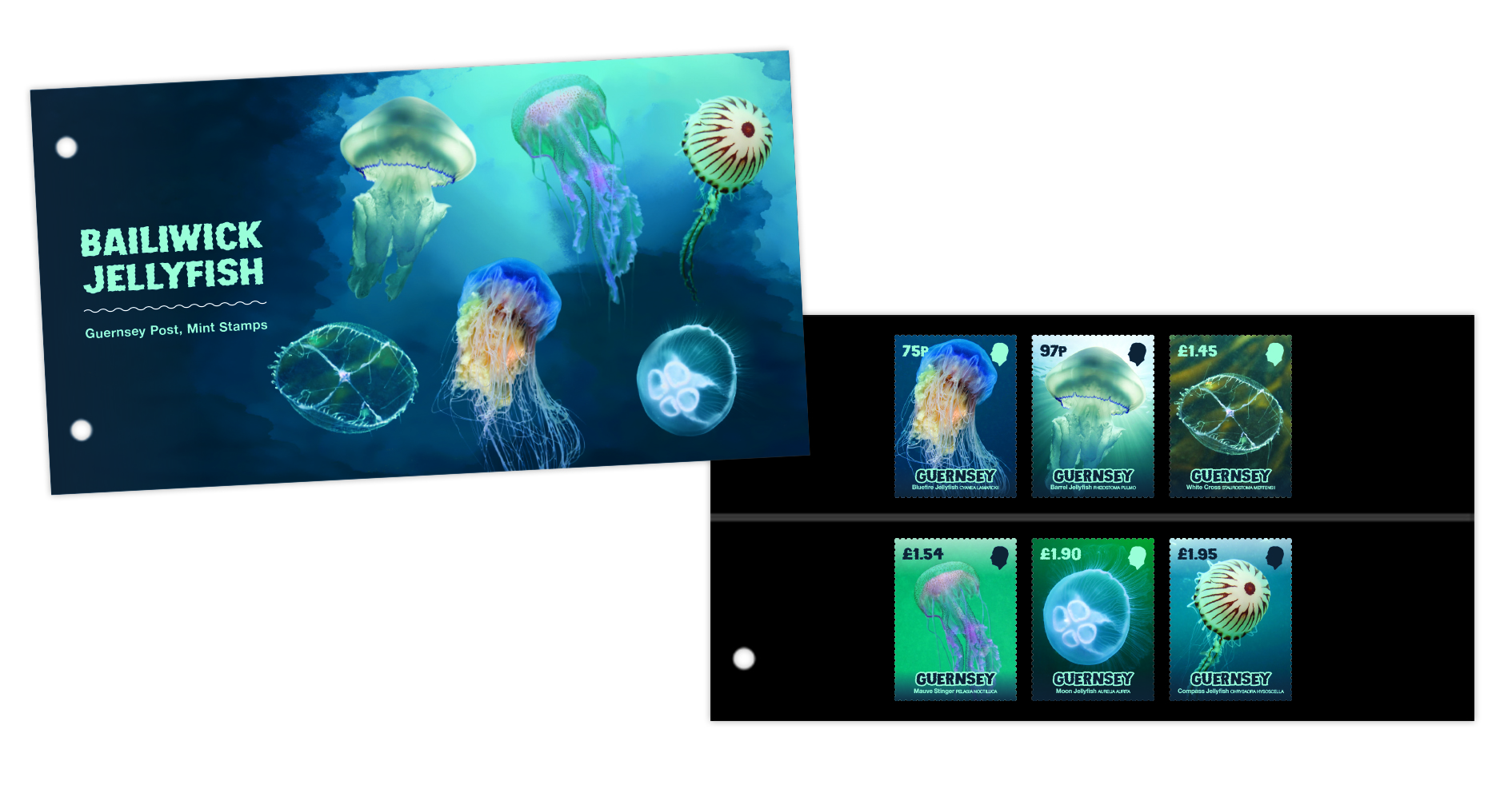 Presentation Pack